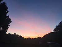 7C055A6E-D042-45AA-B030-D8C81D5D8654
