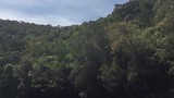 B49929D1-DD73-4F41-BBDF-3DB5341937F0