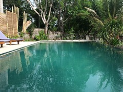 Mandy Pinkse’s reisblog