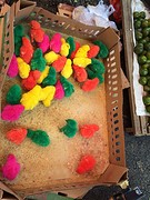 IMG_2738 (1)