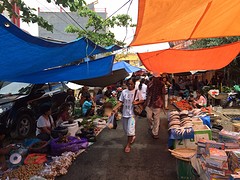 IMG_2746 (1)