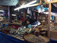 IMG_2753