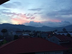 IMG_2793 (1)