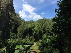 IMG_2803