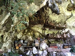 IMG_2805