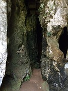 IMG_2810