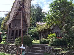 IMG_2839