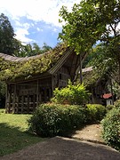 IMG_2840 (1)