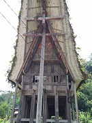 IMG_2842