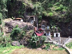 IMG_2848 (1)