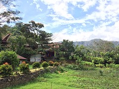 IMG_2855