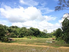IMG_2858
