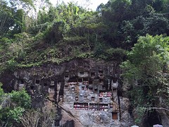 IMG_2860