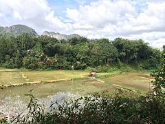 IMG_2866 (1)