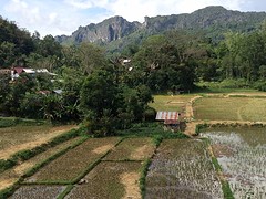 IMG_2867 (1)