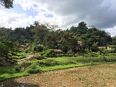 IMG_2884 (1)