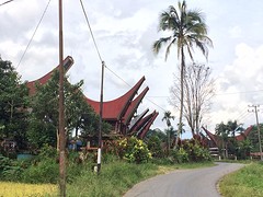 IMG_2904