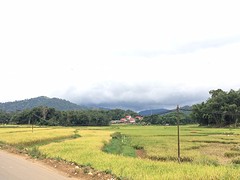 IMG_2918 (1)