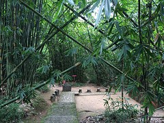 IMG_2920
