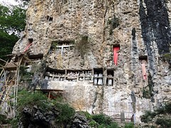 IMG_2924