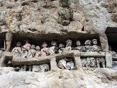 IMG_2926