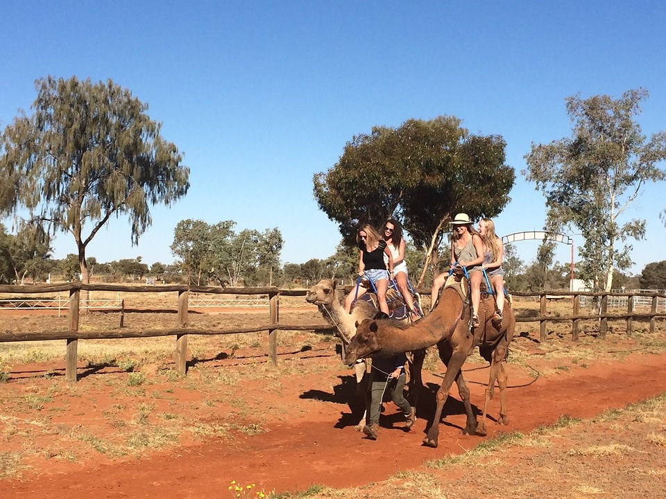 Camel ride