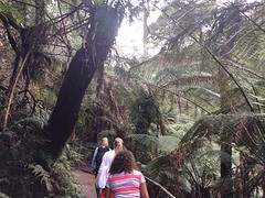 Dandenong