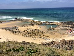 IMG_0010