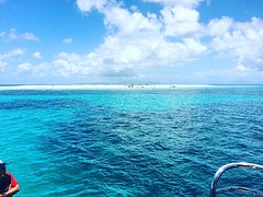 IMG_0494