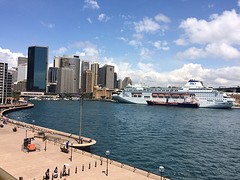 IMG_9213