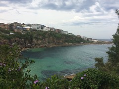 IMG_9324