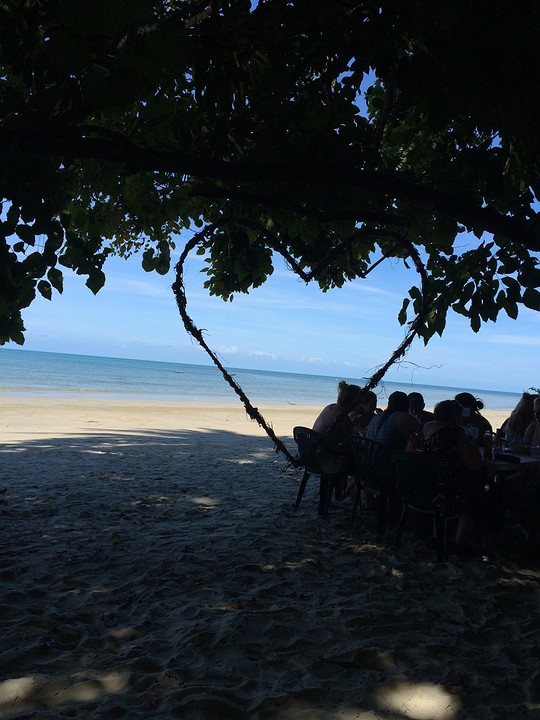 cape tribulation