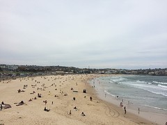 bondi