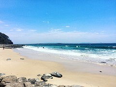 noosa