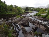 log sneem