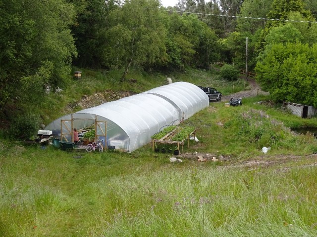 polytunnel