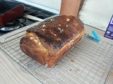 suikerbrood