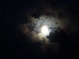 volle maan