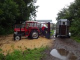 boerenleven