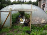 polytunnel