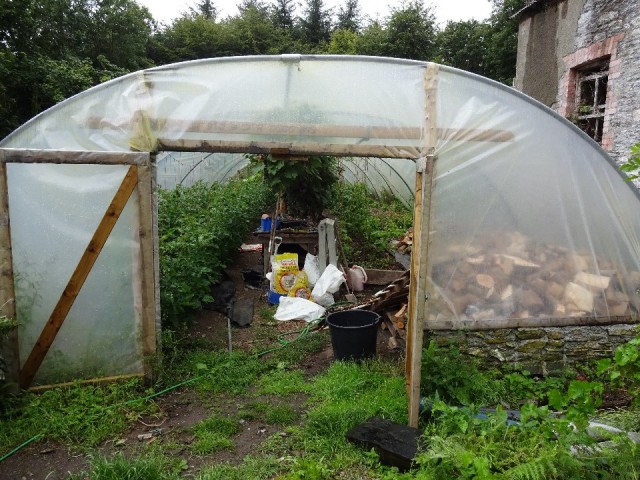 polytunnel