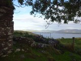 real ireland