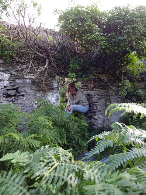 ruine