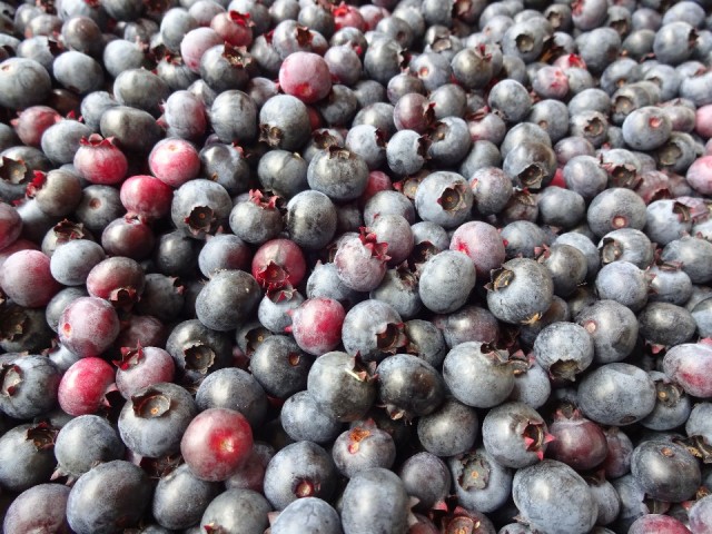 blueberries