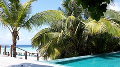 paradise