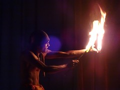 dansshow