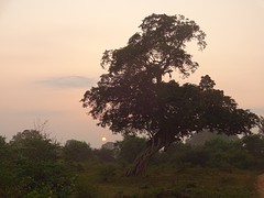 zonsopkomst