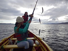 DSC00707