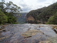 DSC00362