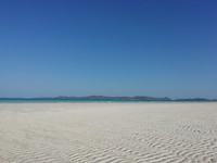 IMG_20191207_160126